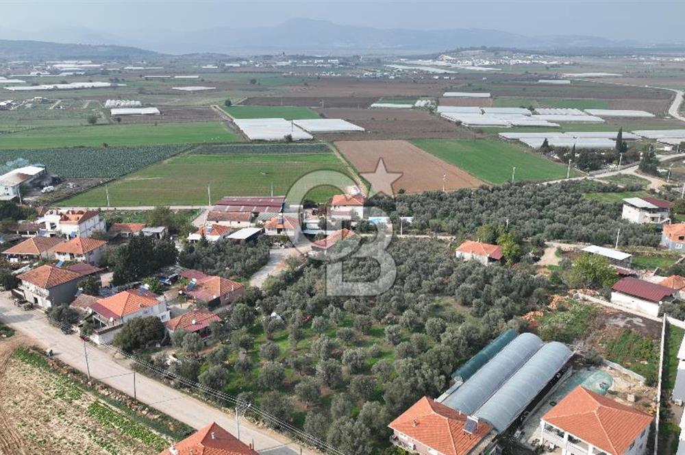 İzmir menderes çileme köyünde satılık arsa