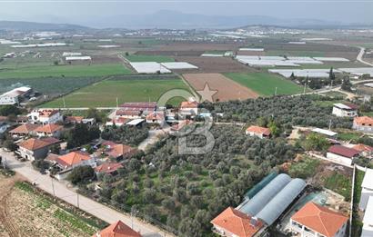 İzmir menderes çileme köyünde satılık arsa