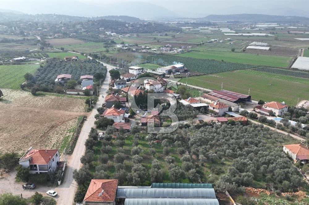 İzmir menderes çileme köyünde satılık arsa