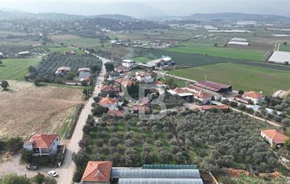 İzmir menderes çileme köyünde satılık arsa