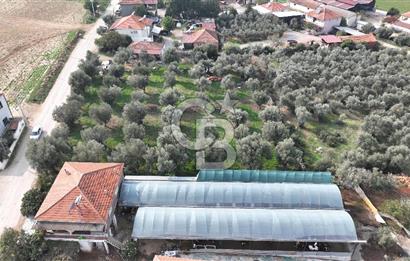 İzmir menderes çileme köyünde satılık arsa
