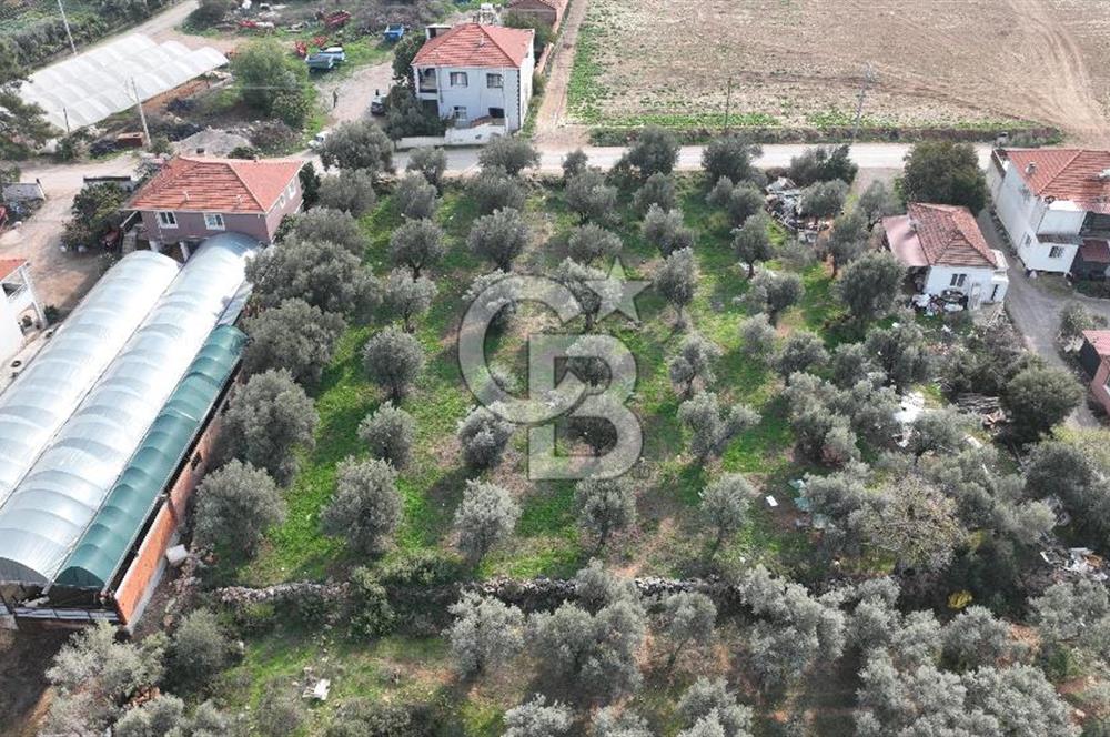 İzmir menderes çileme köyünde satılık arsa
