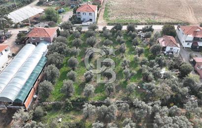 İzmir menderes çileme köyünde satılık arsa