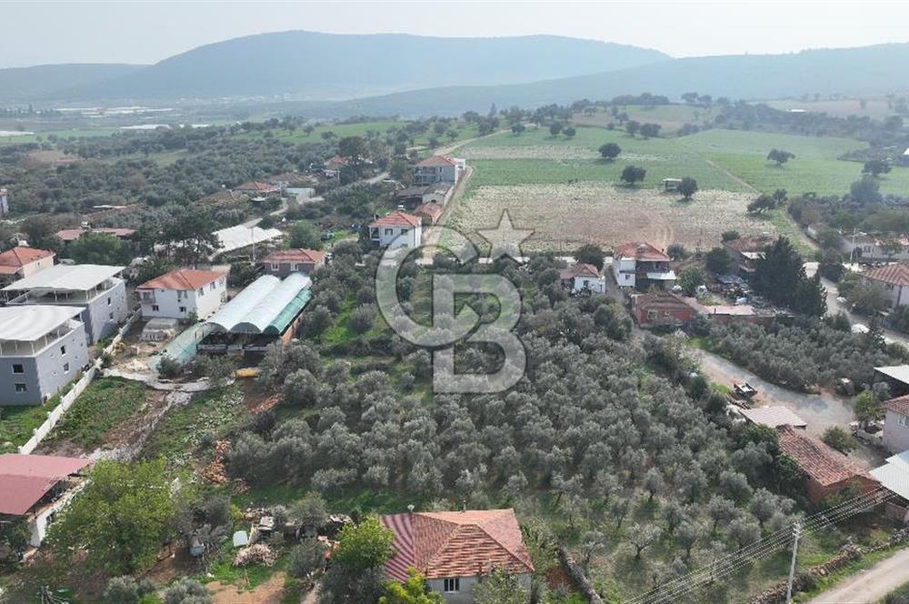 İzmir menderes çileme köyünde satılık arsa