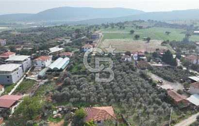 İzmir menderes çileme köyünde satılık arsa