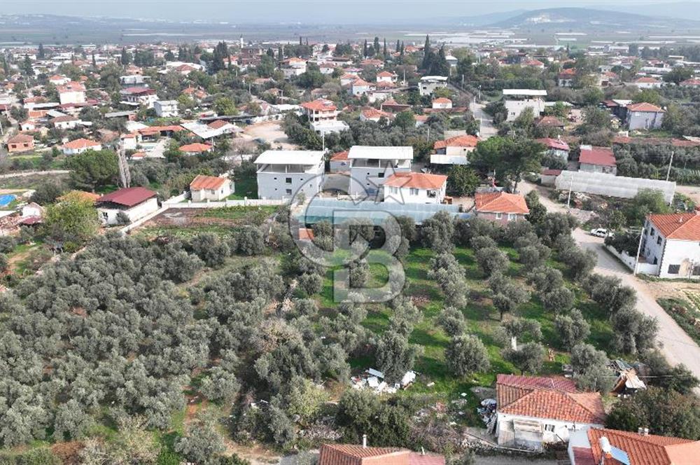 İzmir menderes çileme köyünde satılık arsa