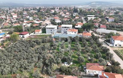 İzmir menderes çileme köyünde satılık arsa