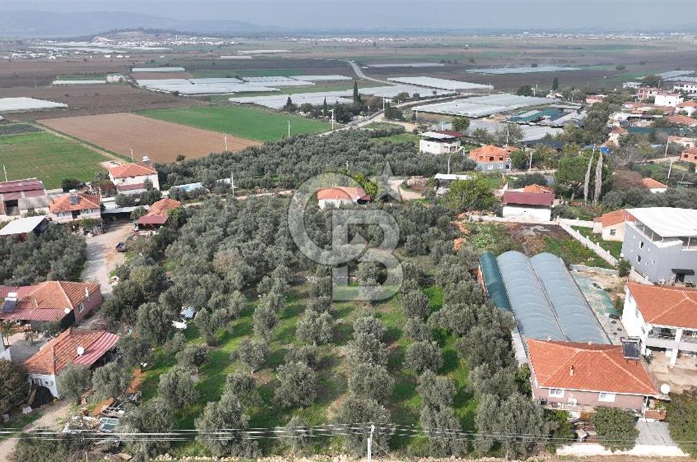 İzmir menderes çileme köyünde satılık arsa