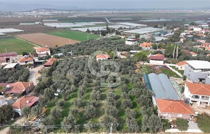 İzmir menderes çileme köyünde satılık arsa