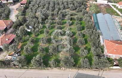 İzmir menderes çileme köyünde satılık arsa