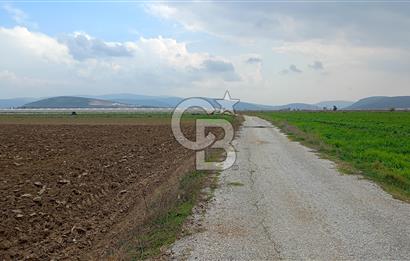 İzmir menderes çileme köyünde satılık tarla