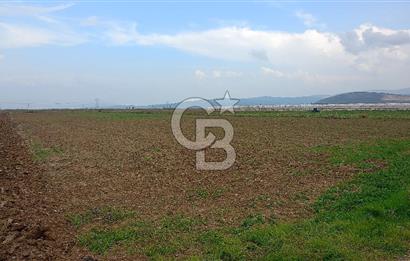 İzmir menderes çileme köyünde satılık tarla