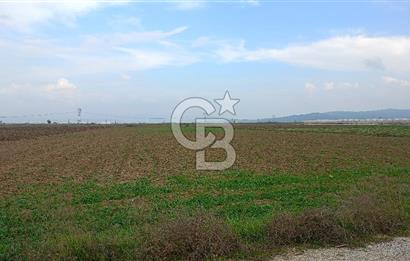 İzmir menderes çileme köyünde satılık tarla