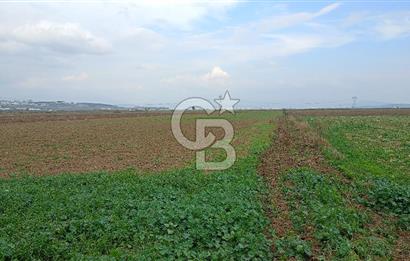 İzmir menderes çileme köyünde satılık tarla