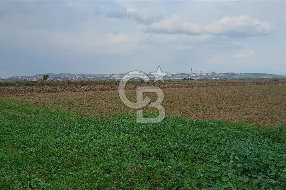 İzmir menderes çileme köyünde satılık tarla
