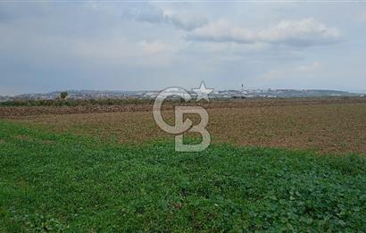 İzmir menderes çileme köyünde satılık tarla