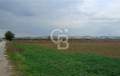 İzmir menderes çileme köyünde satılık tarla