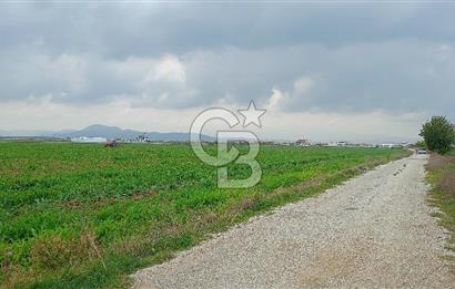 İzmir menderes çileme köyünde satılık tarla