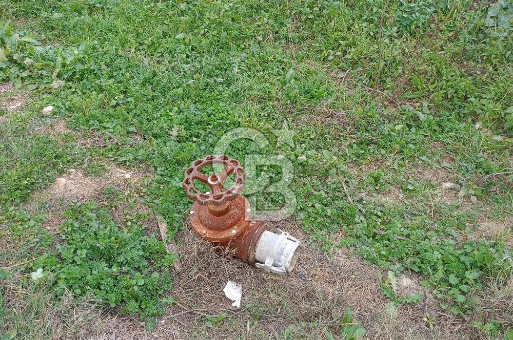 İzmir menderes çileme köyünde satılık tarla