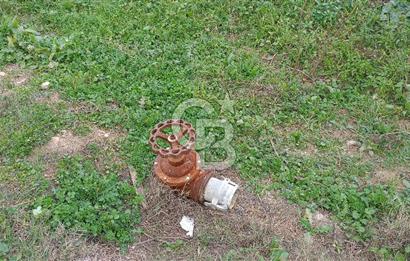 İzmir menderes çileme köyünde satılık tarla