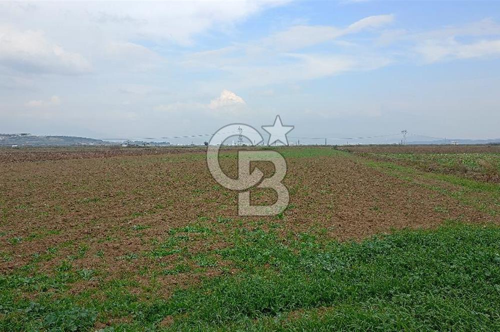İzmir menderes çileme köyünde satılık tarla