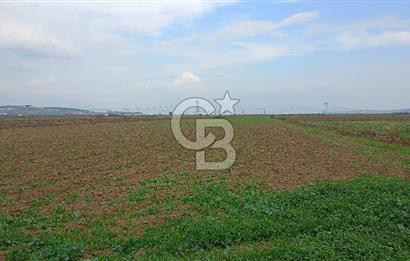 İzmir menderes çileme köyünde satılık tarla