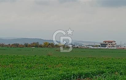 İzmir menderes çileme köyünde satılık tarla