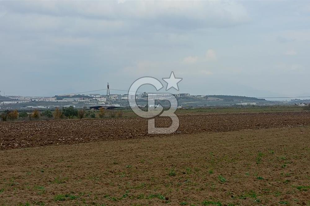 İzmir menderes çileme köyünde satılık tarla
