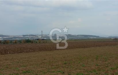 İzmir menderes çileme köyünde satılık tarla