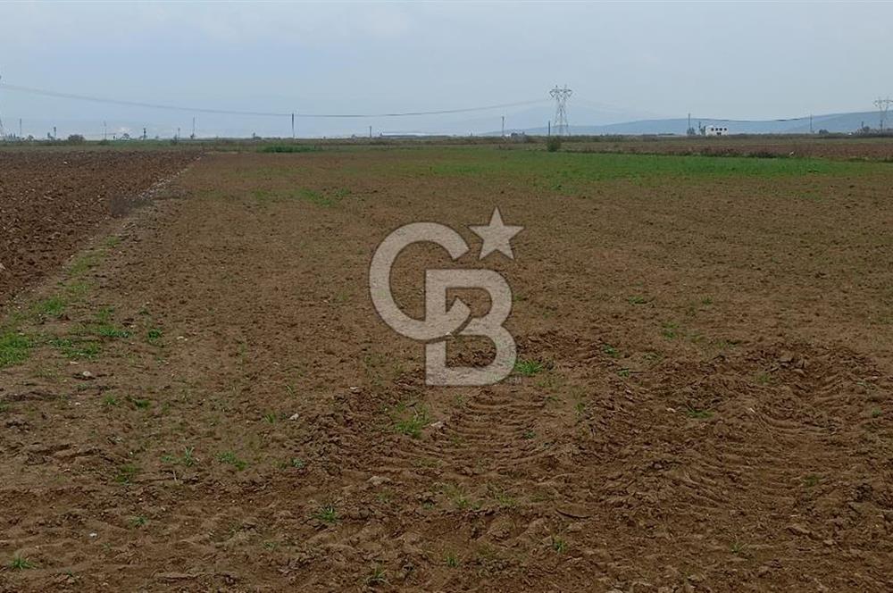 İzmir menderes çileme köyünde satılık tarla