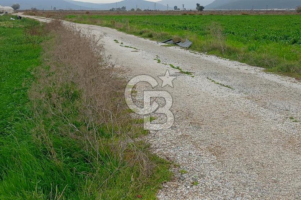 İzmir menderes çileme köyünde satılık tarla