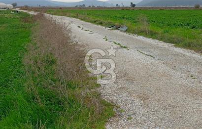İzmir menderes çileme köyünde satılık tarla