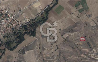 Yozgat Sarıkaya Hasbek Köyü' nde Satılık Bahçe