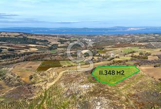 Çanakkale Merkez Kızılkeçilide Full Boğaz Manzaralı Tarla - 4 - 316801