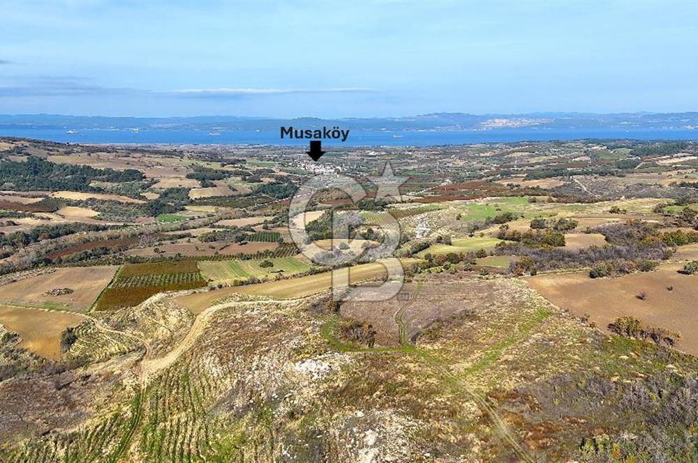 Çanakkale Merkez Kızılkeçilide Full Boğaz Manzaralı Tarla