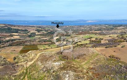 Çanakkale Merkez Kızılkeçilide Full Boğaz Manzaralı Tarla