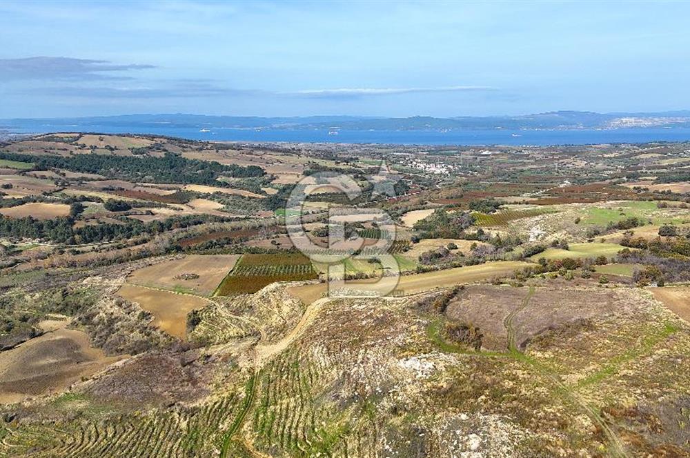 Çanakkale Merkez Kızılkeçilide Full Boğaz Manzaralı Tarla
