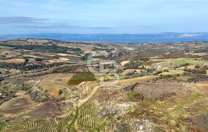 Çanakkale Merkez Kızılkeçilide Full Boğaz Manzaralı Tarla