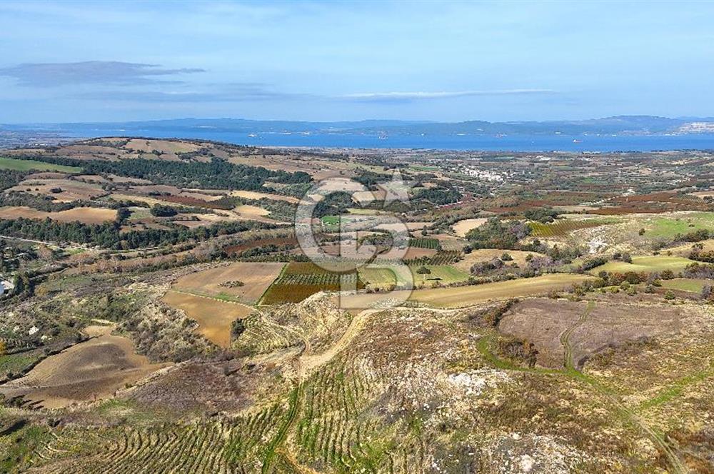 Çanakkale Merkez Kızılkeçilide Full Boğaz Manzaralı Tarla