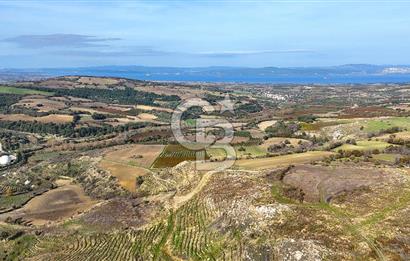 Çanakkale Merkez Kızılkeçilide Full Boğaz Manzaralı Tarla