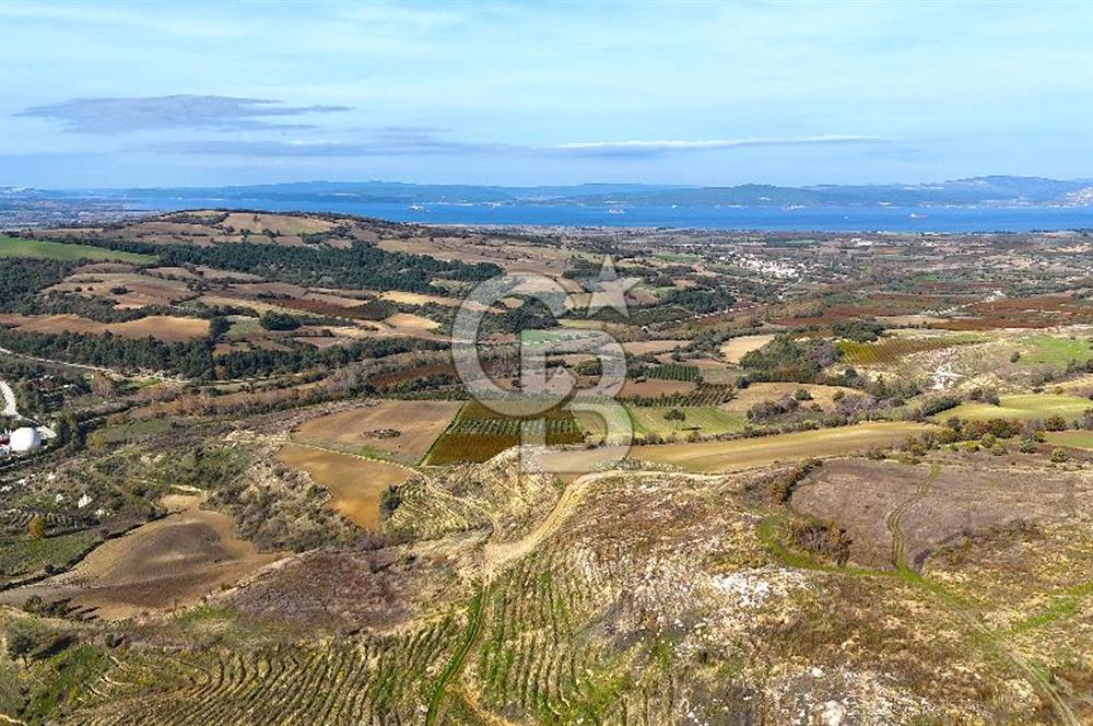 Çanakkale Merkez Kızılkeçilide Full Boğaz Manzaralı Tarla