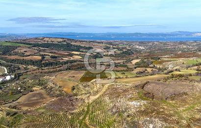 Çanakkale Merkez Kızılkeçilide Full Boğaz Manzaralı Tarla