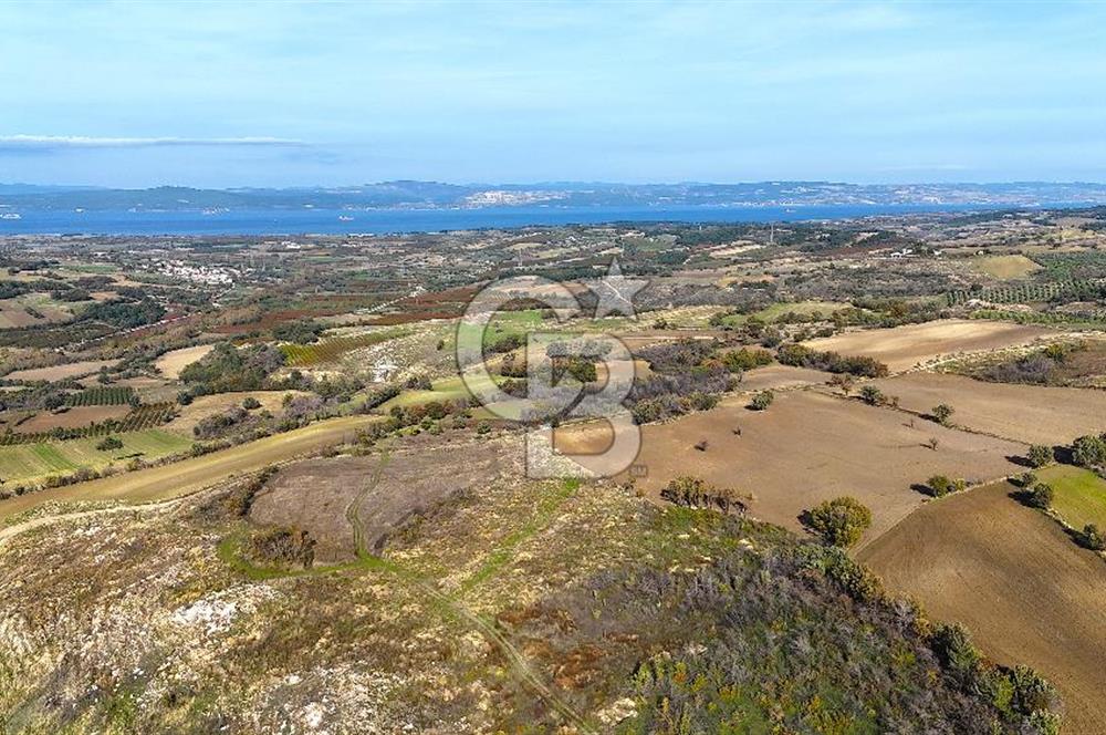 Çanakkale Merkez Kızılkeçilide Full Boğaz Manzaralı Tarla