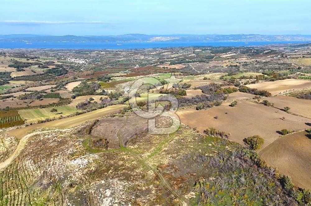 Çanakkale Merkez Kızılkeçilide Full Boğaz Manzaralı Tarla