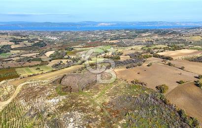 Çanakkale Merkez Kızılkeçilide Full Boğaz Manzaralı Tarla