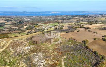 Çanakkale Merkez Kızılkeçilide Full Boğaz Manzaralı Tarla