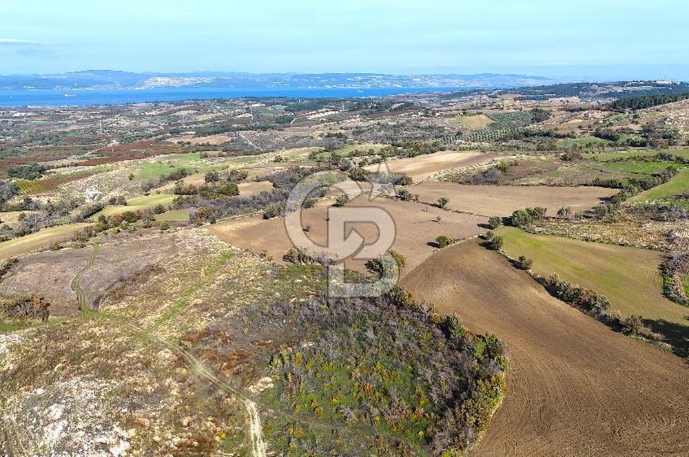 Çanakkale Merkez Kızılkeçilide Full Boğaz Manzaralı Tarla