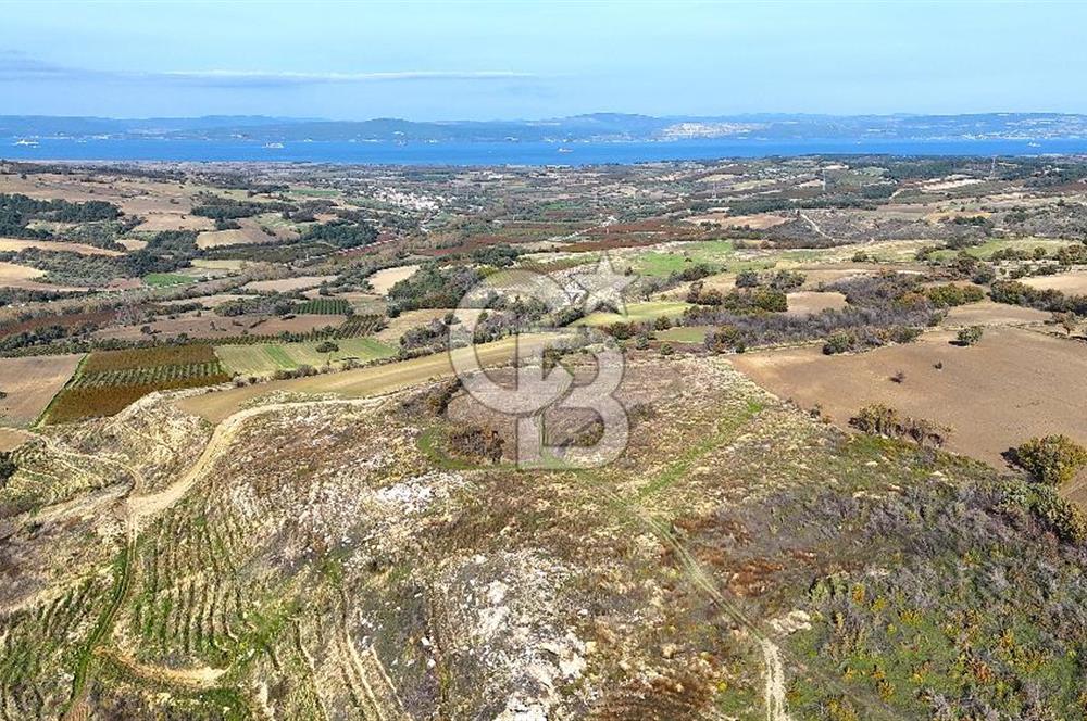 Çanakkale Merkez Kızılkeçilide Full Boğaz Manzaralı Tarla