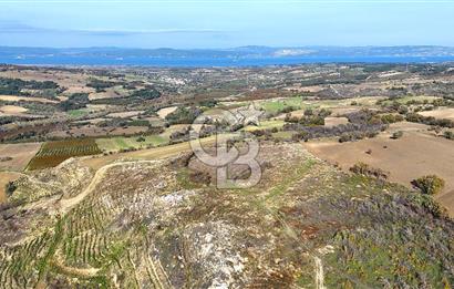Çanakkale Merkez Kızılkeçilide Full Boğaz Manzaralı Tarla