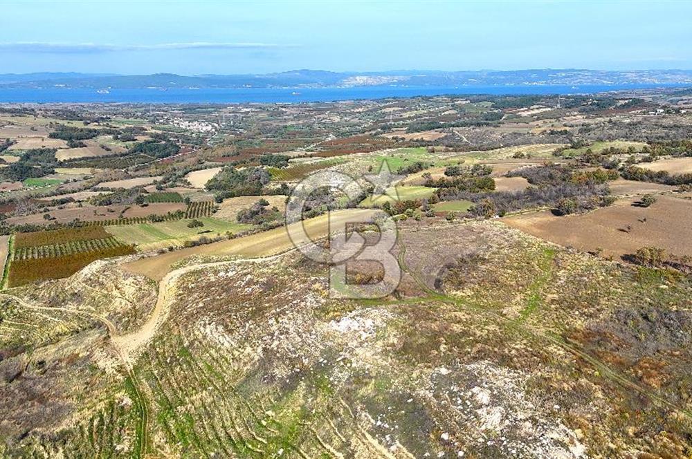 Çanakkale Merkez Kızılkeçilide Full Boğaz Manzaralı Tarla